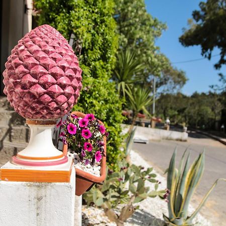 Agriturist Soleluna Caltagirone Zewnętrze zdjęcie